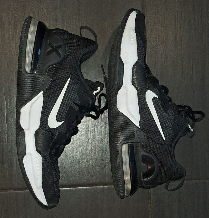 NIKE AIR MAX ALPHA TRAINER 5 męskie buty r. 45 DM0829