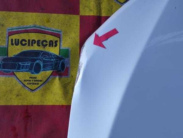 Capot BMW X6 (F16, F86) | 14 - 19 l 135724