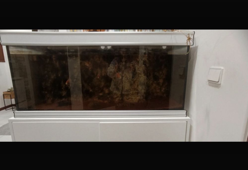 Aquário 170L + Móvel lacado Branco/Negociável