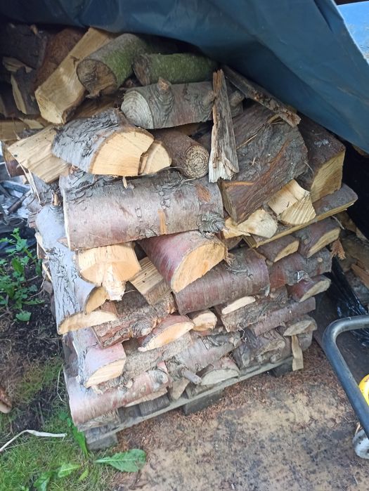 Drewno opałowe iglaste such opał do palenia