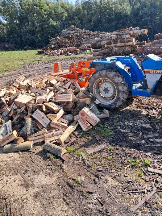 Lenha,sacos de pinhas bravas e sacos lenha de carvalho