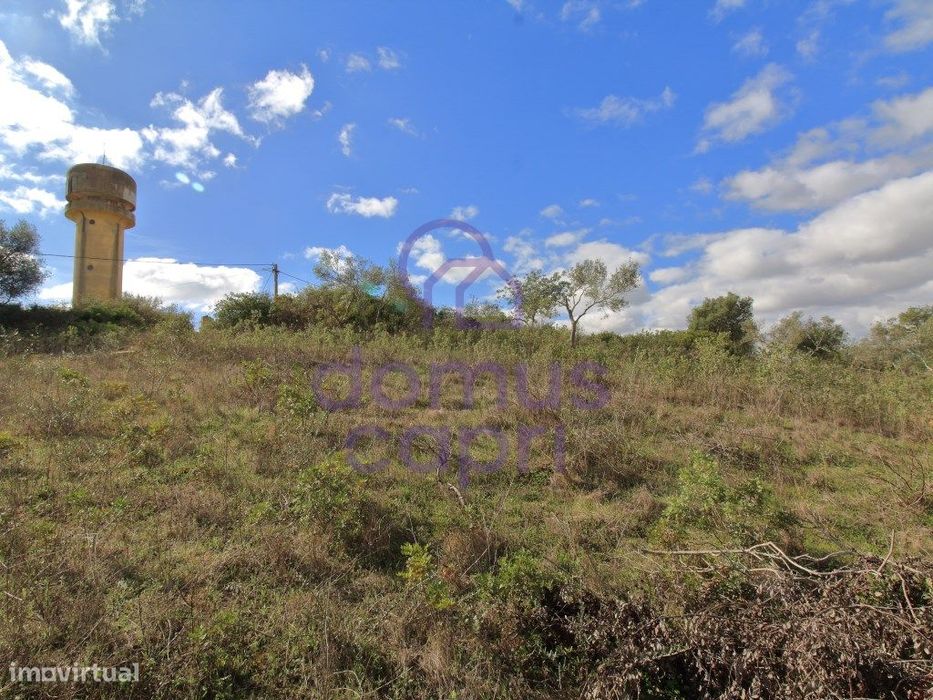Terreno Rustico em Laranjeiro - Moncarapacho - Olhão