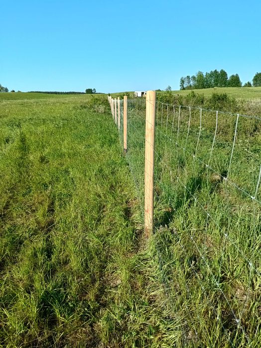Ogrodzenie Płot tymczasowe , budowlane już 16 zł. za mb