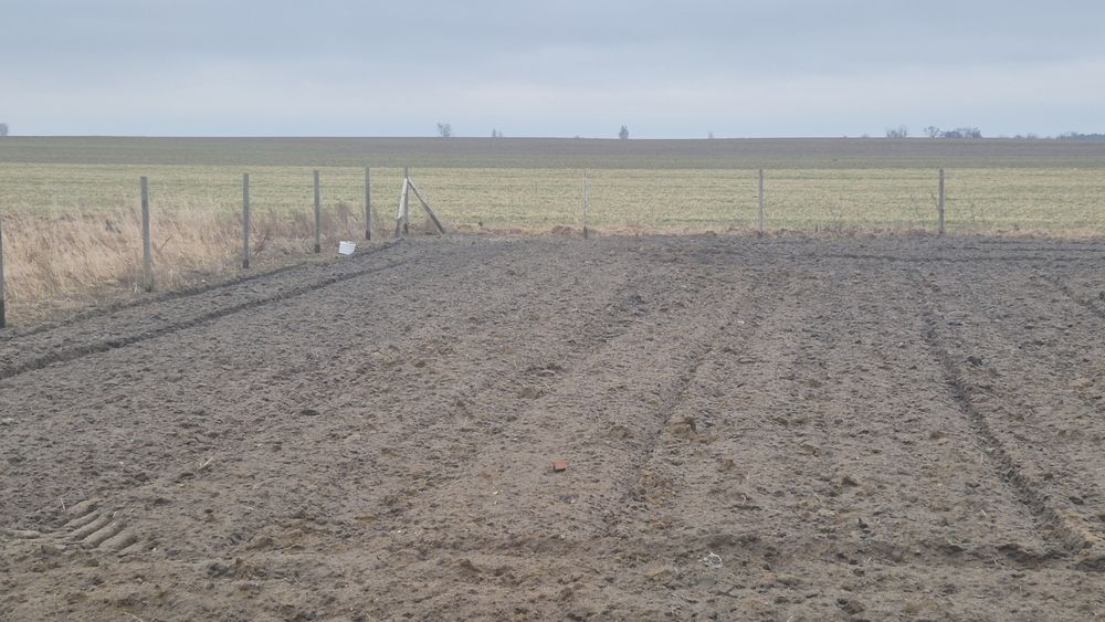 Płot leśny z bramą