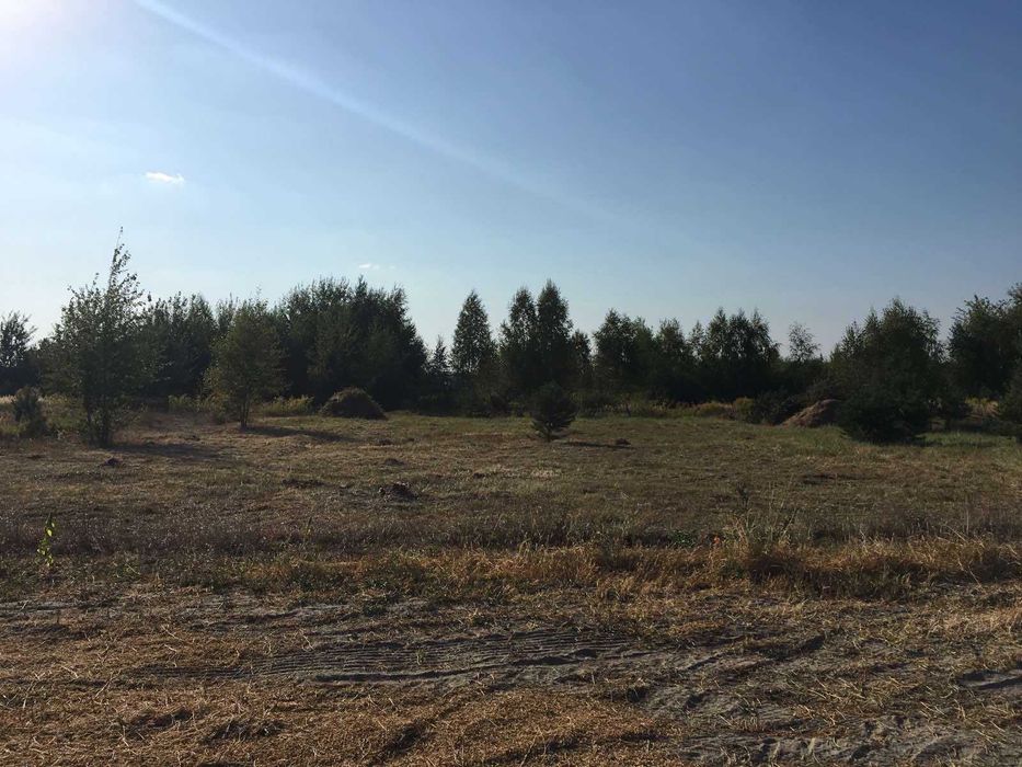 ПРОДАЮ ЗЕМЛЮ! Село Озерце. 12 сот.