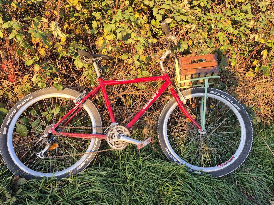 Retro commuter Giant. Drewniana skrzynka. Przedni bagażnik.