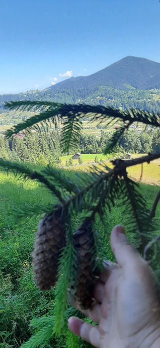 Від власника земельна ділянка під забудову!