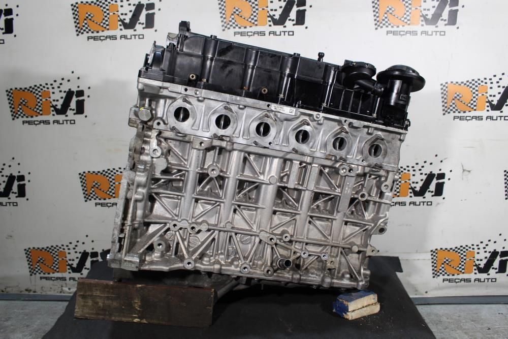 Motor completo BMW 3 (E90)