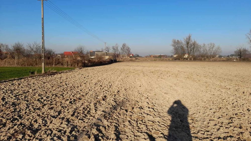 Działka budowlana w ciągu ul. Rawickiej, Brzozowej, Cedrowej, Cyprysowej- Aktualne WZ na budynki jednorodzinne  lub bliźniacze jednorodzinne
