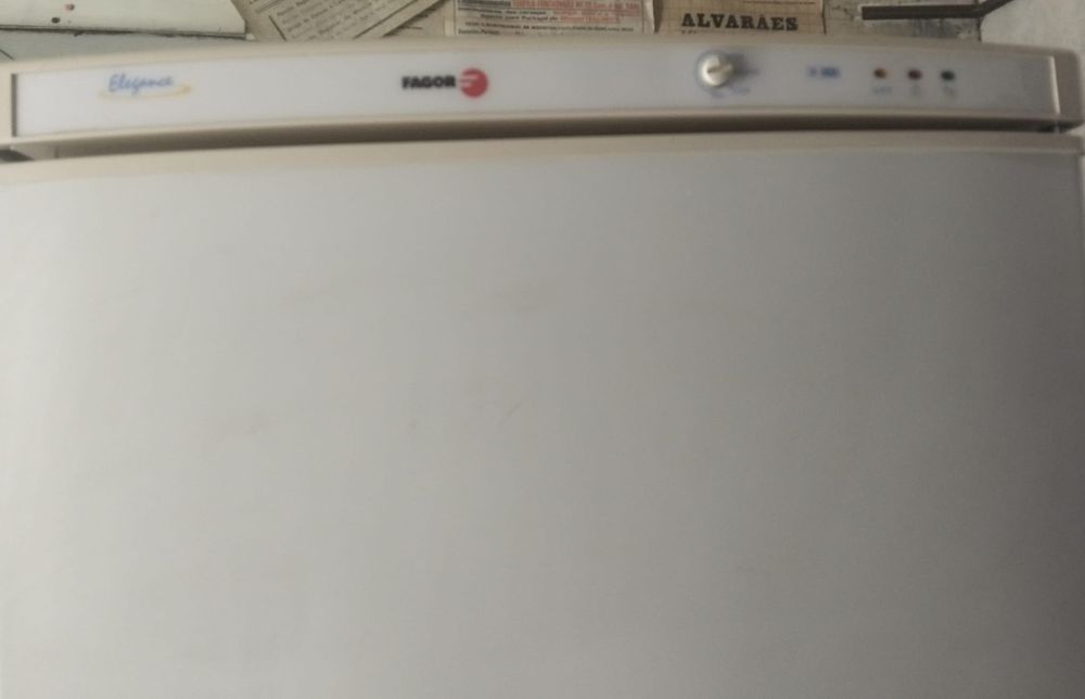 Arca congeladora vertical