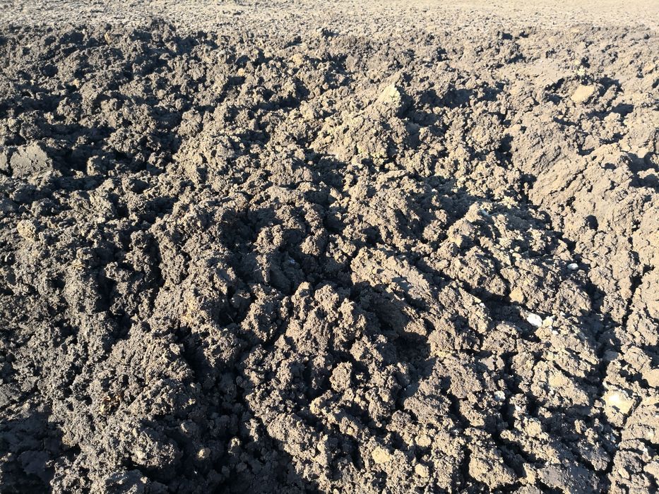 Matéria orgânica/Estrume de coelho