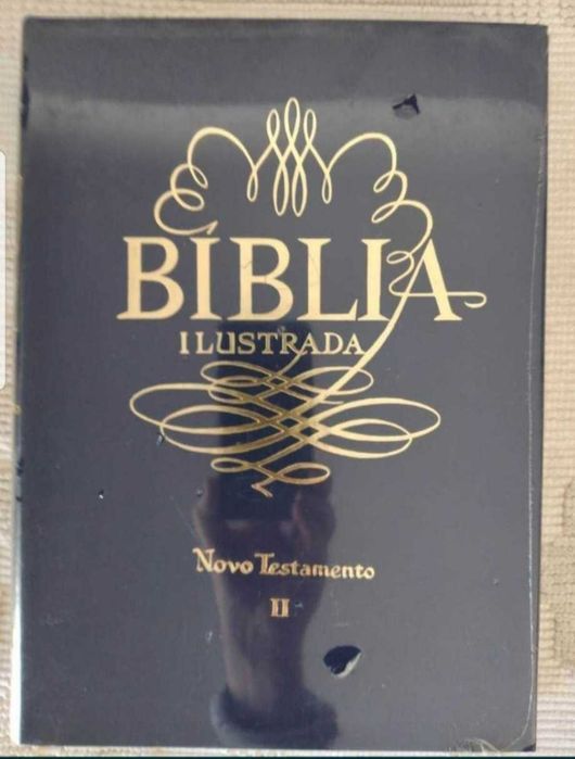 Bíblia Sagrada de 1961 - Antigo e Novo Testamento em 7 livros novos embalados na película original