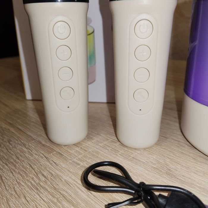 Караоке Bluetooth колонка із двома мікрофонами