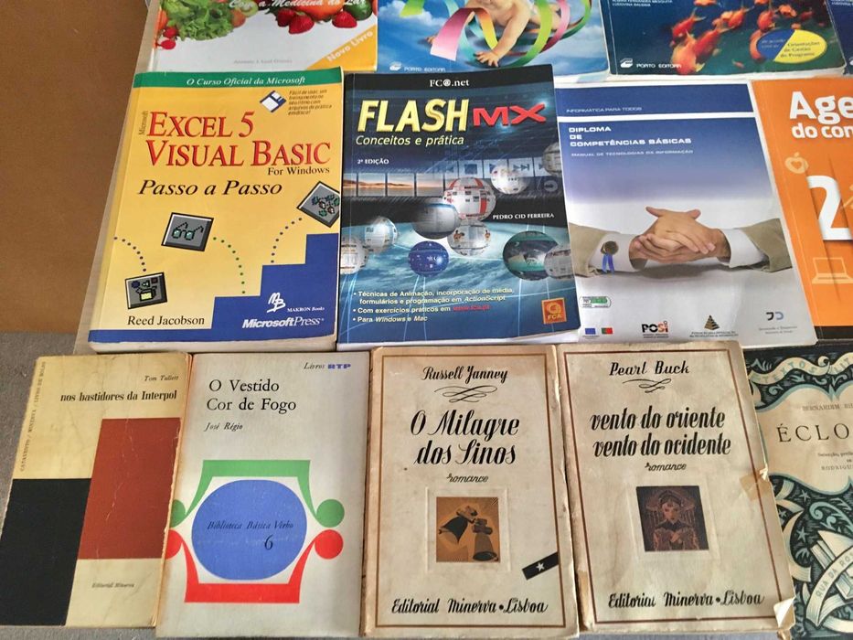 Lote de 38 livros