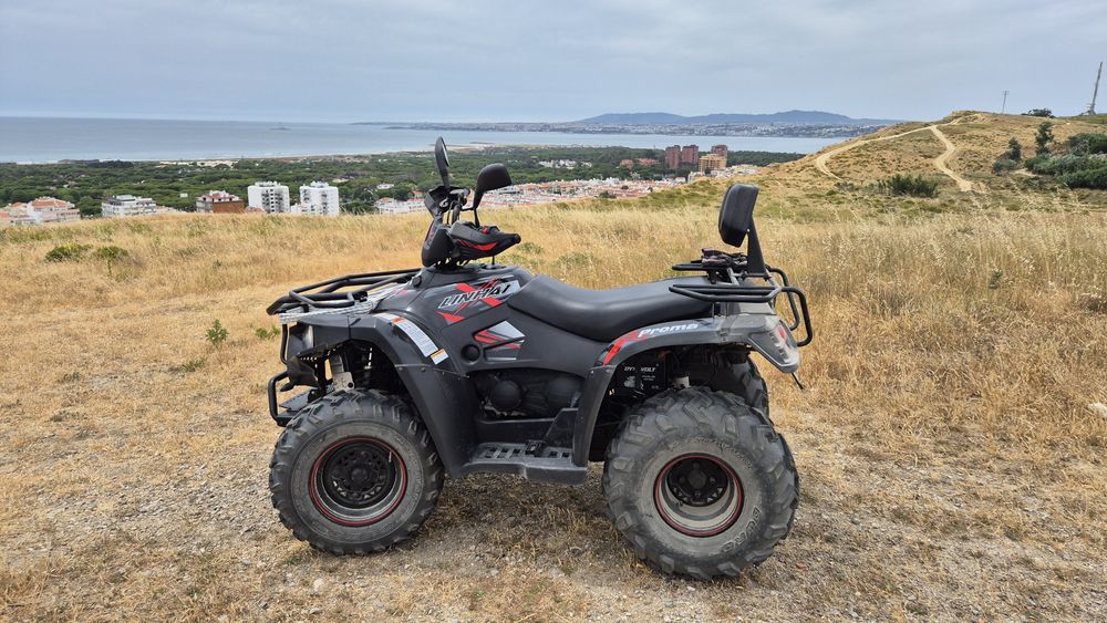 Moto 4 Linhai LH 320 PROMAX 4x4