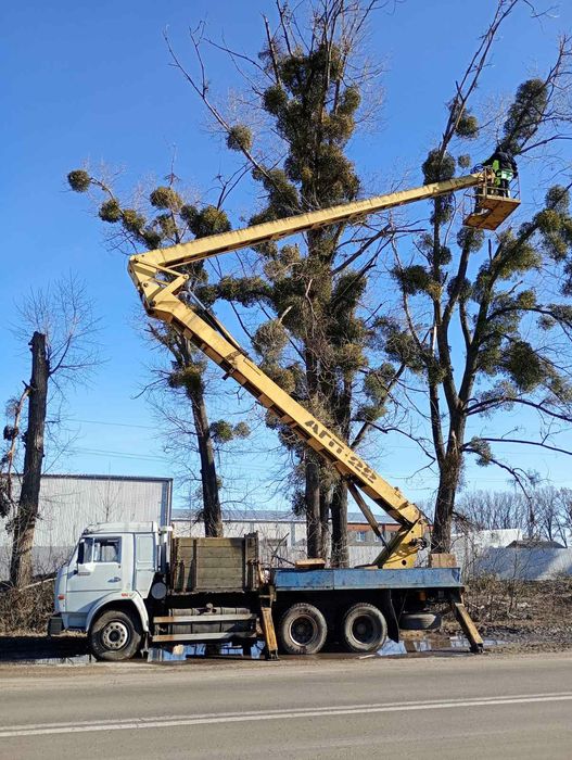 Спил , видалення , переробка , утилізація  дерев