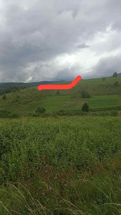 Земельна ділянка,