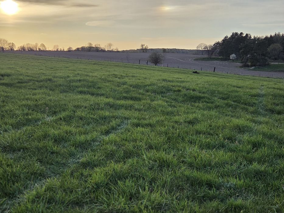 Działka Lemany, 15.79 ara z warunkami zabudowy