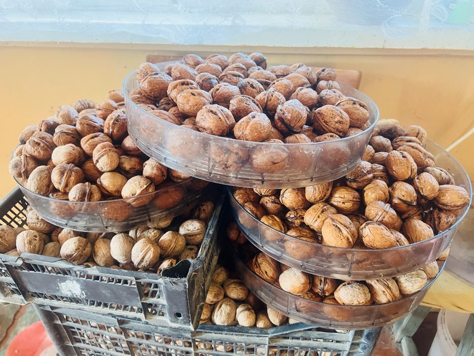 Продам горіх грецький