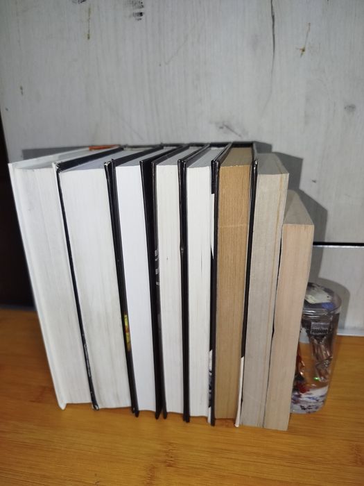 Борис Акунин 8 книг