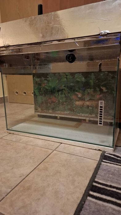 Akwarium ok. 60 l z obudową
