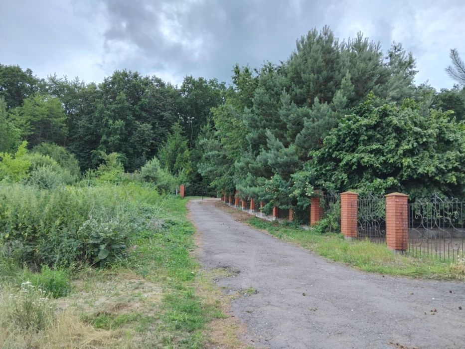 Земельна ділянка біля  лісувід Власника!!