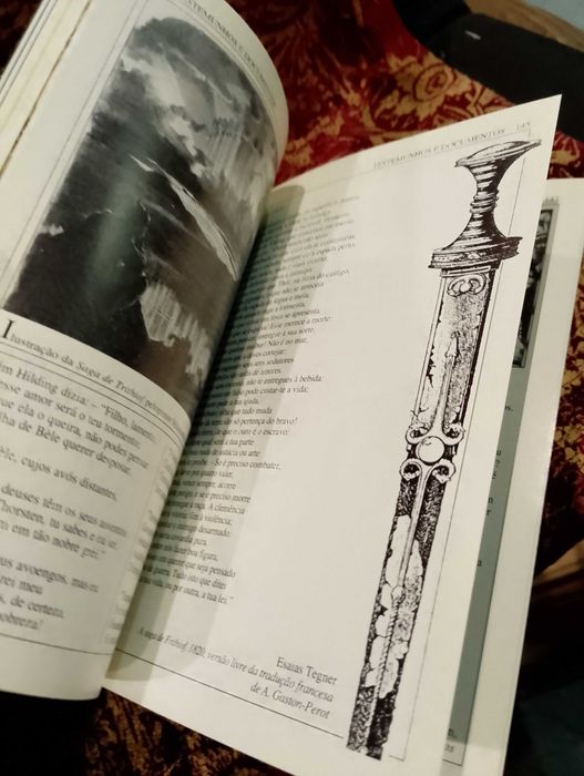 Os Vikings, Reis dos Mares - Yves Cohat