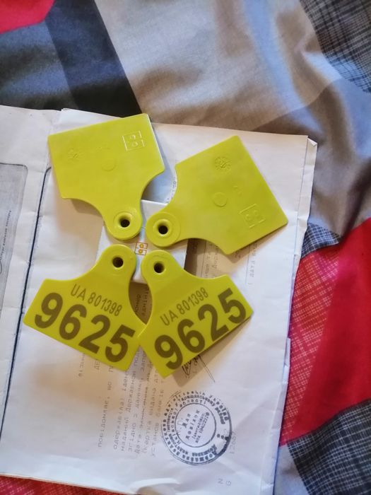 Продам тільну корову