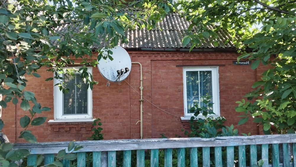 Продається житловий будинок з господарчими спорудами і земельна ділянка в сел Ружин