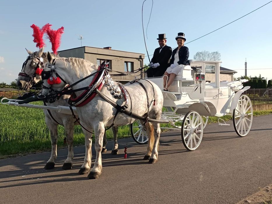 Kareta ,powóz ,bryczka ,do ślubu