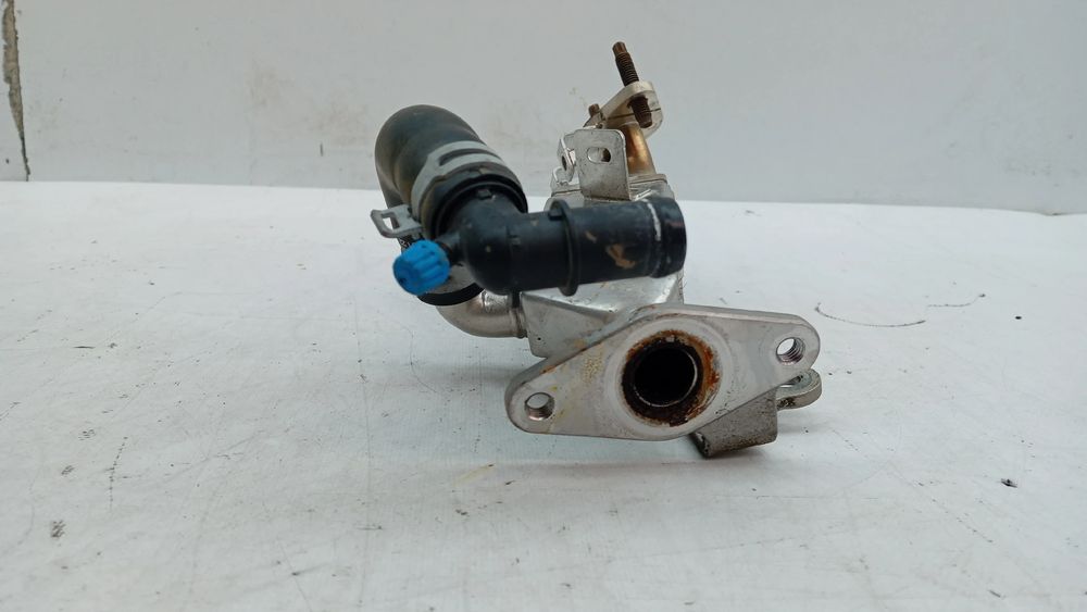 Radiador de gases / EGR RENAULT Clio V (BF_)
