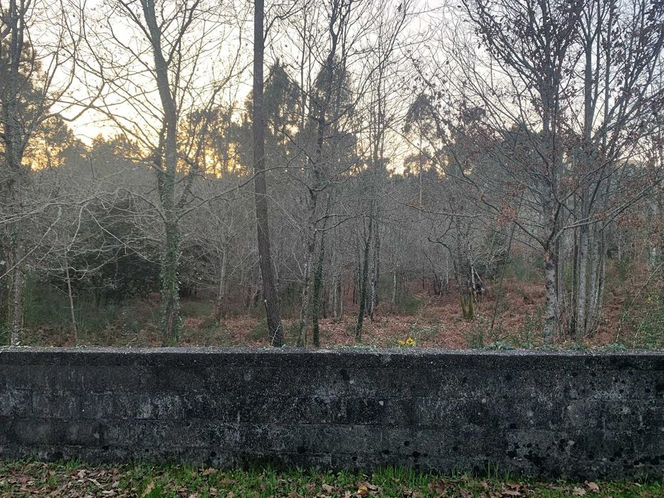 Terreno para construção com 1980m², Meixedo, Viana do Castelo