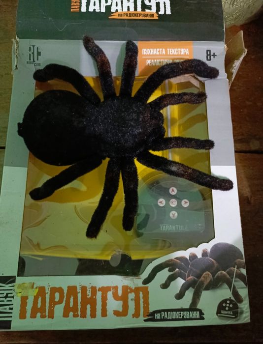 Тарантул,павук на пульт