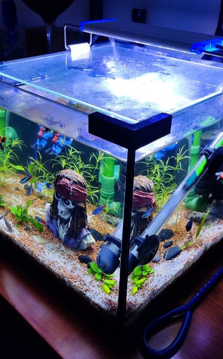 Cube-shaped aquarium with fish