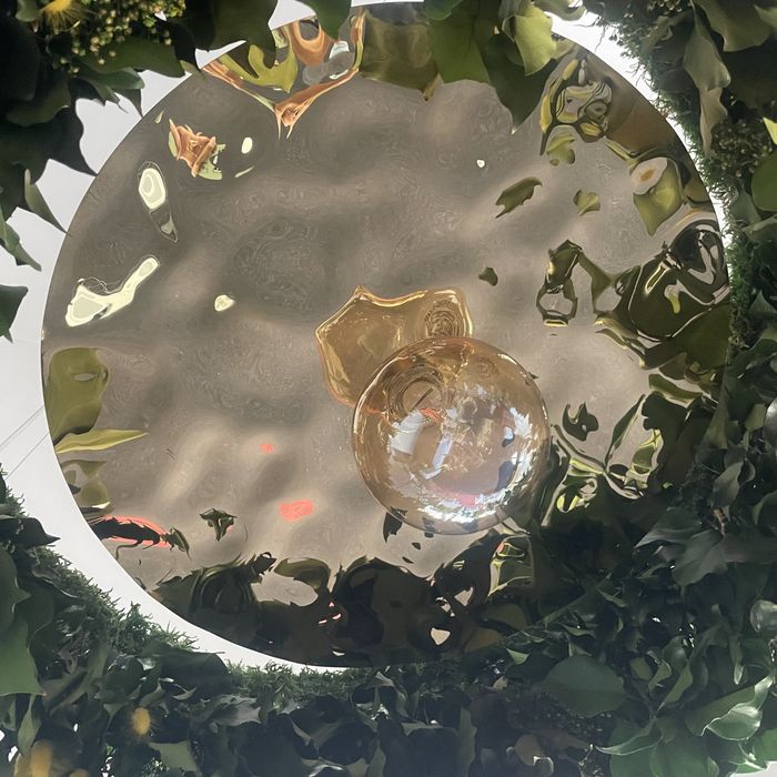 Żyrandol, lampa z zielenią naturalną, Lampa LED, Garden