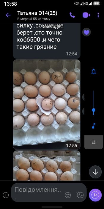 Інкубаційні яйця в домашніх птахів.