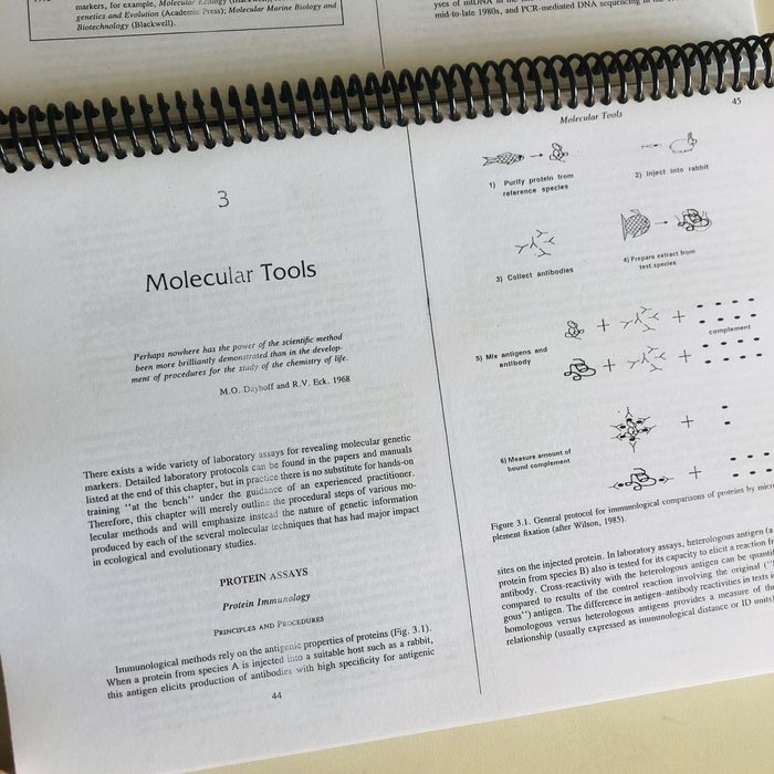 Molecular markers, natural history and evolution John C. Avise Oeiras