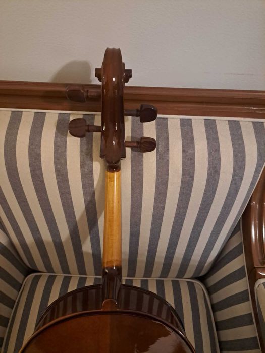 Violoncelo 1/4 Stentor Student