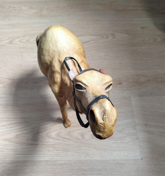 Dromedário Pele Marroquino