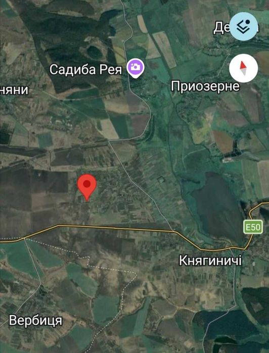 Дві Стайні в селі Помонята