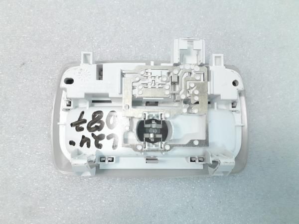 Plafonier frente RENAULT Megane IV (B9A/M_)