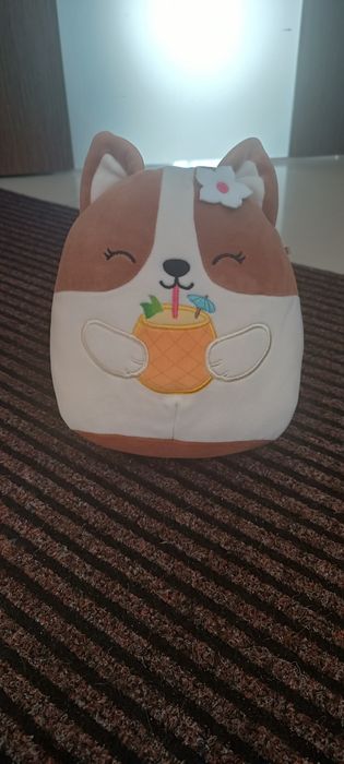 Squishmallows Maskotka Pluszak Brązowy PIES CORGI Z NAPOJEM REGINA 19 cm