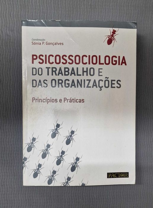 Livro Psicossociologia do Trabalho e das Organizações