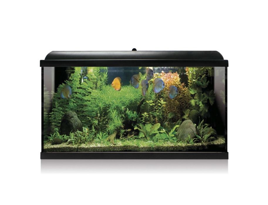 LOJA!! Aquario com Led 86 Litros NOVO!