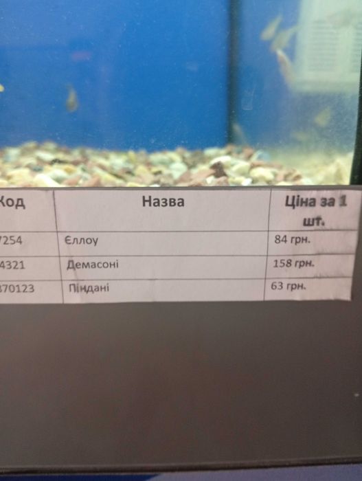 Акваріумні рибки