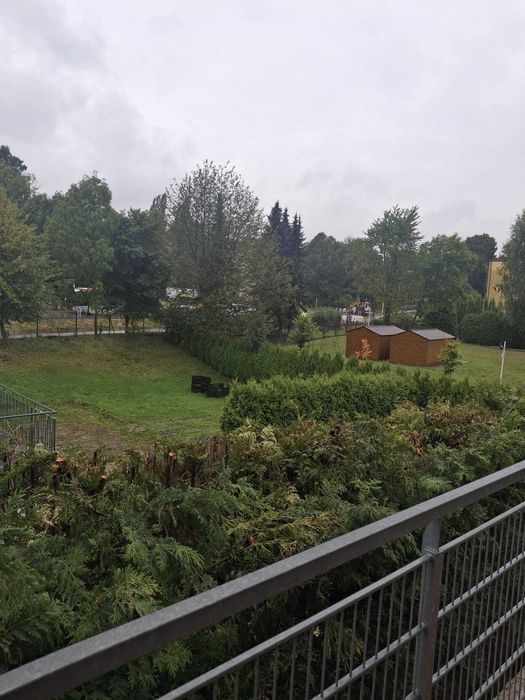 Zdjęcie 7