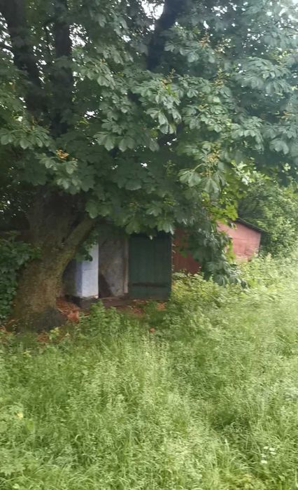 35 соток з будинком біля річки — за ціною 1-кімнат квартири | 47 000 $