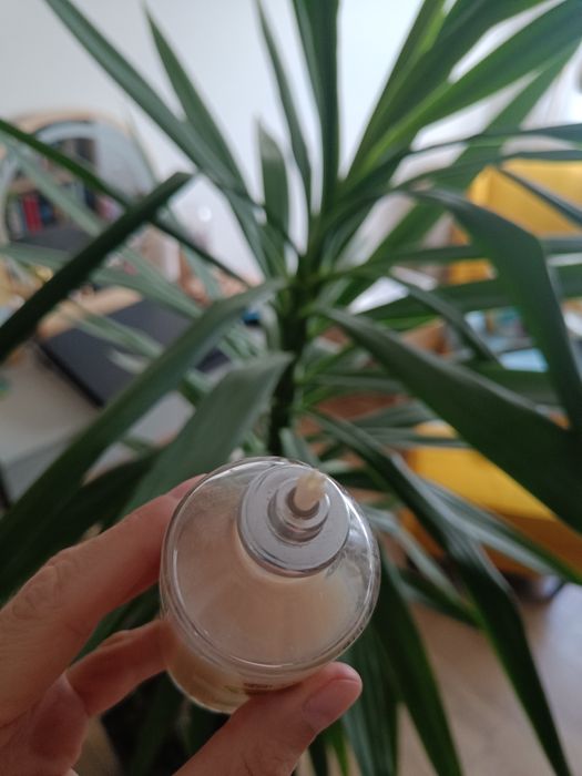 Kokos Yves Rocher unikat