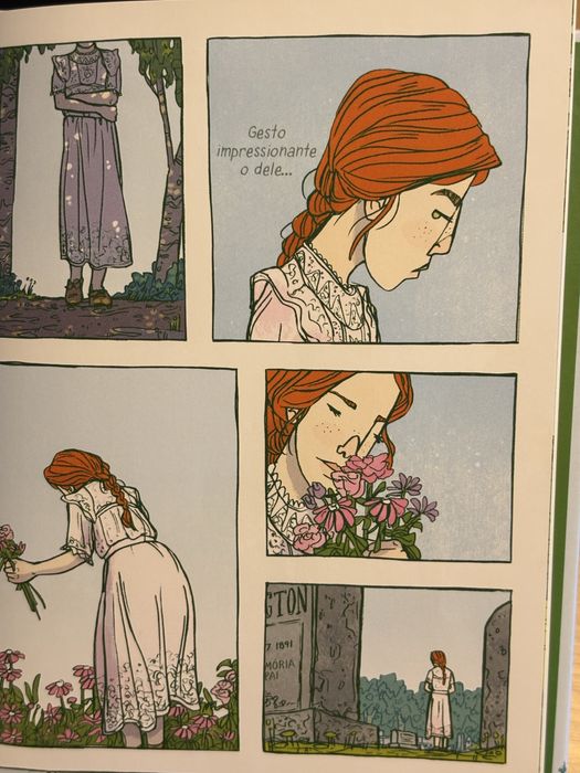 Novela Gráfica - Ana dos Cabelos Ruivos. Livro juvenil.