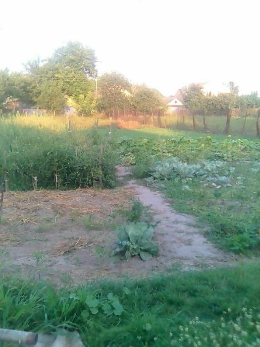 Багрин, зручний та затишний будинок для сім"ї - Вид 5